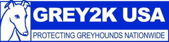 GREY2K USA Logo